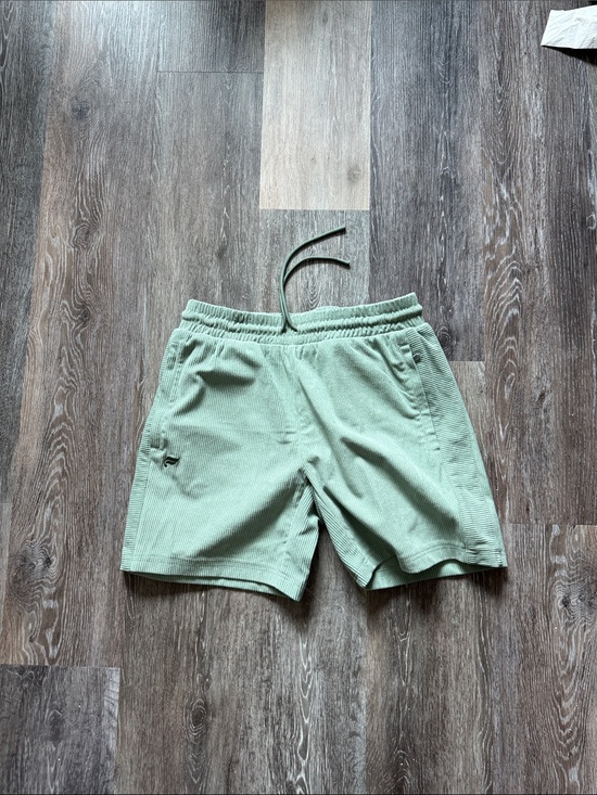 Fabletics Other - Fabletics Men's Mint Green Ribbed Athletic Shorts